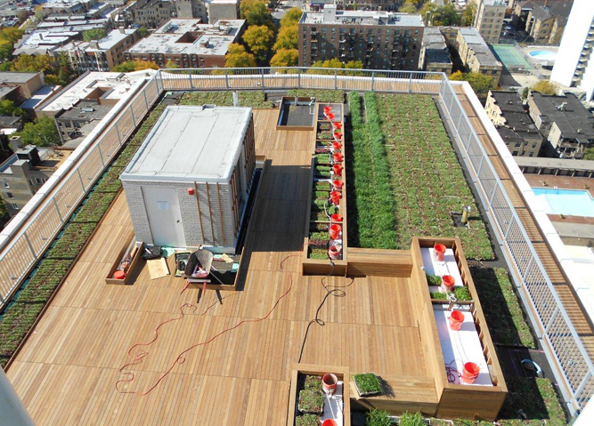 Plant-Tray™ Modular Green Roof | Tile Tech Pavers®