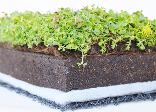 Green Roof Plant Tray 09