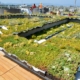 NantWorks Rooftop Amenity Deck 09