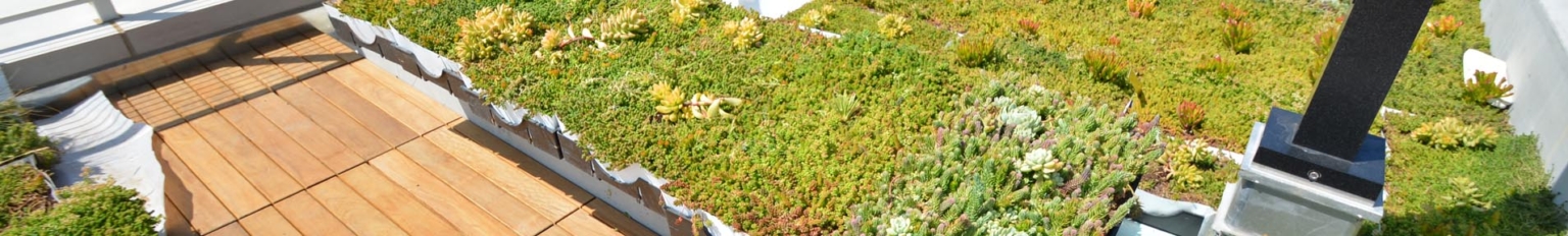Plant-Tray™ Modular Green Roof | Tile Tech Pavers®