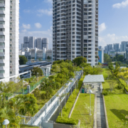 Roof top garden in Singapore Suburb
