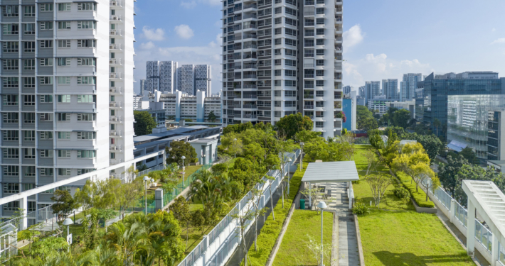 Roof top garden in Singapore Suburb